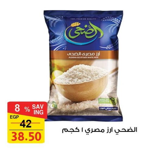 available at فتح الله in Egypt - القاهرة