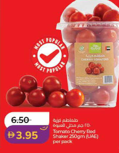 Cherry Tomato available at Lulu Hypermarket in UAE - Sharjah / Ajman
