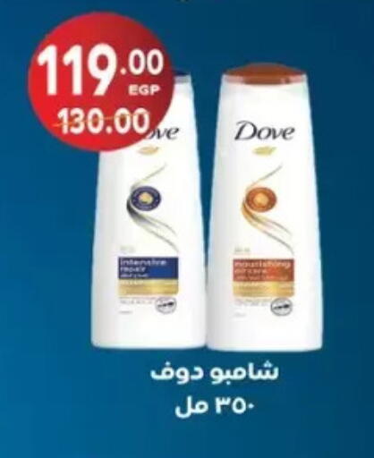 available at Galhom Market in Egypt - Cairo