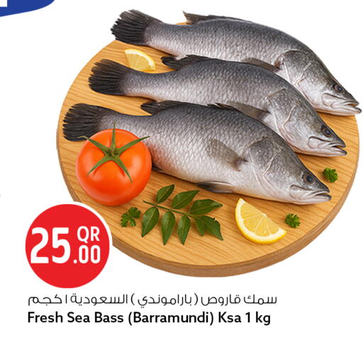available at سفاري هايبر ماركت in قطر - الوكرة