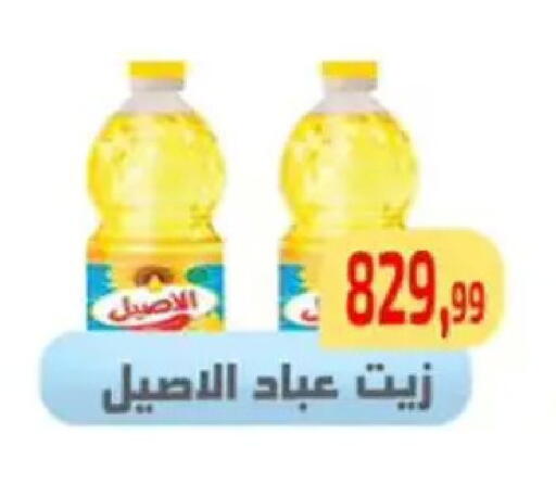 available at Ehab Prince in Egypt - Cairo