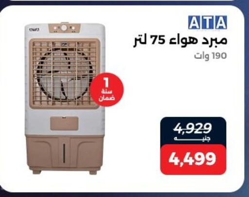 available at Raneen in Egypt - Cairo