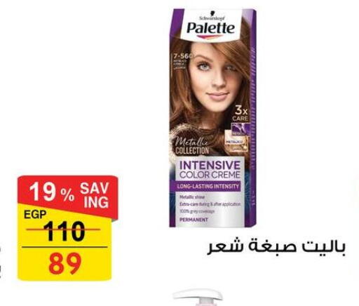 available at فتح الله in Egypt - القاهرة