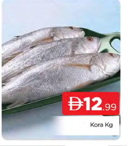 available at AL MADINA (Dubai) in UAE - Dubai
