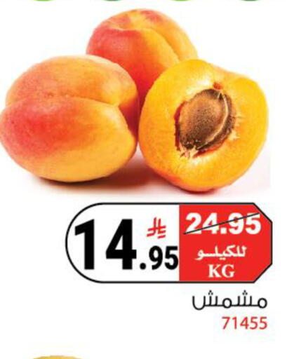 available at هاوس كير in مملكة العربية السعودية, السعودية, سعودية - مكة المكرمة
