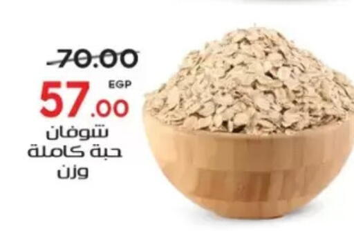 available at Galhom Market in Egypt - Cairo