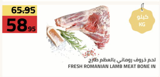 available at أسواق أسترا in مملكة العربية السعودية, السعودية, سعودية - تبوك