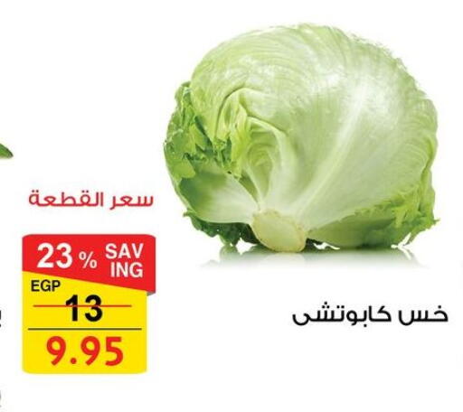 available at فتح الله in Egypt - القاهرة