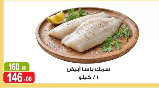 available at غنيم ماركت in Egypt - القاهرة