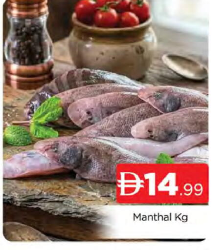 available at AL MADINA (Dubai) in UAE - Dubai