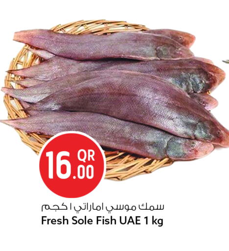 available at سفاري هايبر ماركت in قطر - الوكرة