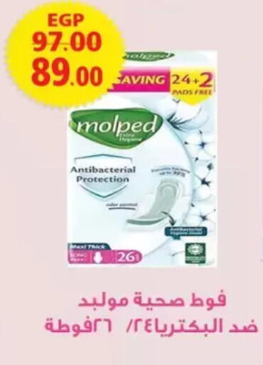 available at Galhom Market in Egypt - Cairo