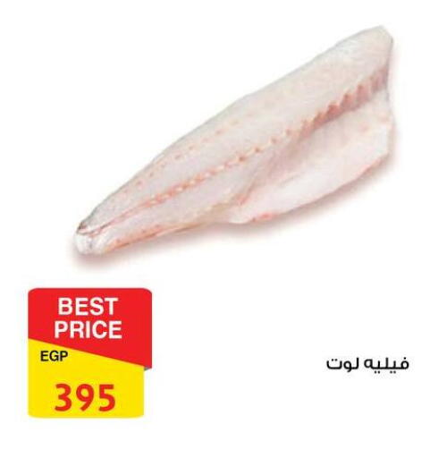 available at فتح الله in Egypt - القاهرة