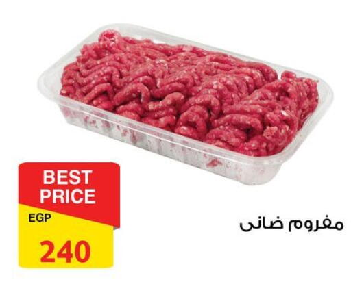 available at فتح الله in Egypt - القاهرة