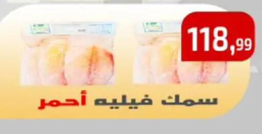 available at مؤسسة ايهاب البرنس in Egypt - القاهرة