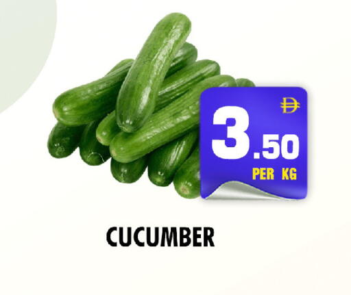 Cucumber available at نايت تو نايت in الإمارات العربية المتحدة , الامارات - دبي
