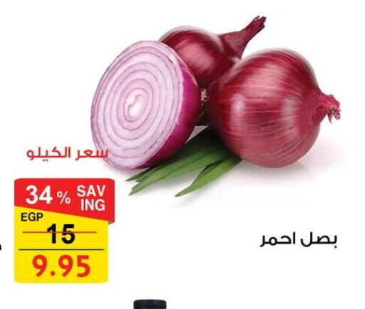 available at فتح الله in Egypt - القاهرة
