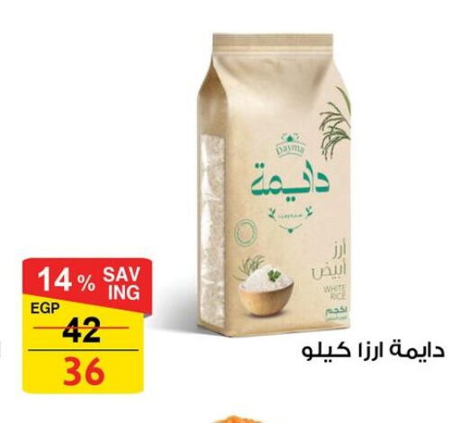 available at فتح الله in Egypt - القاهرة