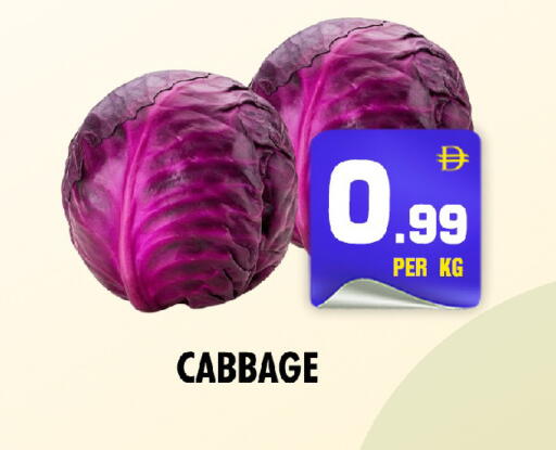 Cabbage available at نايت تو نايت in الإمارات العربية المتحدة , الامارات - دبي