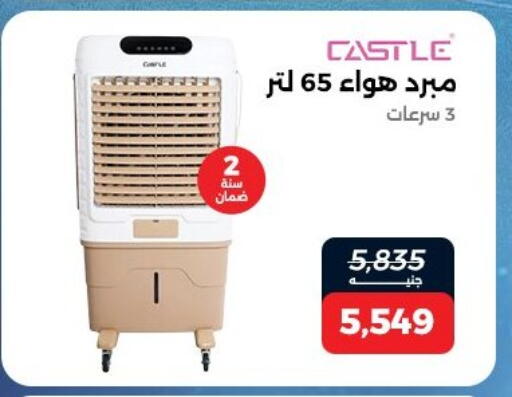 available at Raneen in Egypt - Cairo