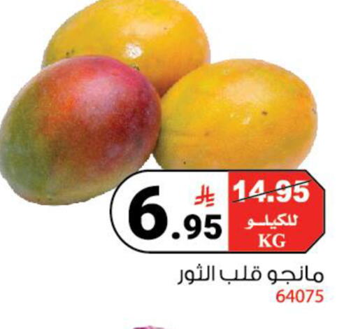 available at هاوس كير in مملكة العربية السعودية, السعودية, سعودية - مكة المكرمة