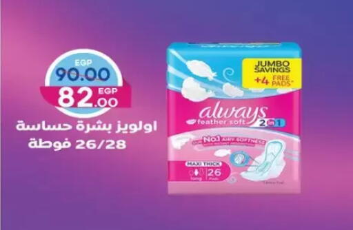 available at Galhom Market in Egypt - Cairo