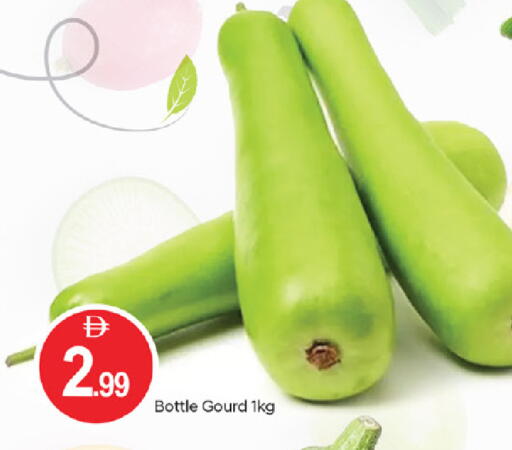 available at سوق طلال in الإمارات العربية المتحدة , الامارات - أبو ظبي