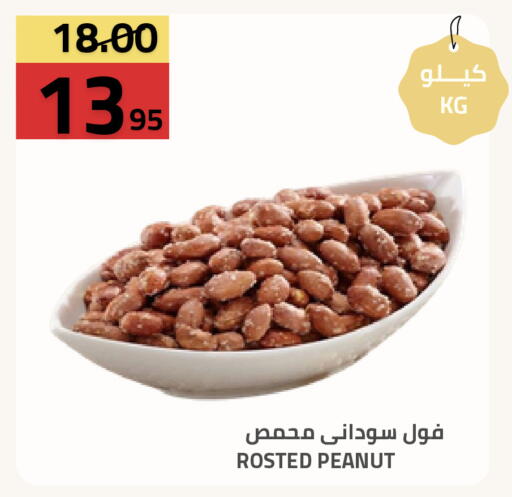 available at أسواق أسترا in مملكة العربية السعودية, السعودية, سعودية - تبوك