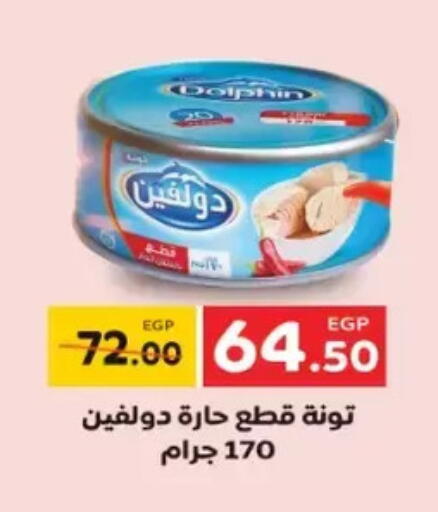 available at Galhom Market in Egypt - Cairo