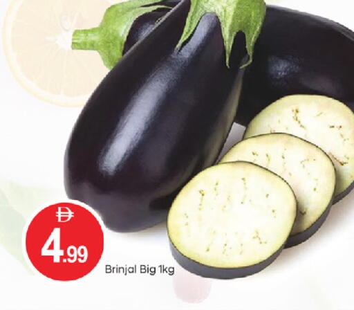 available at سوق طلال in الإمارات العربية المتحدة , الامارات - أبو ظبي