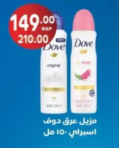 available at Galhom Market in Egypt - Cairo