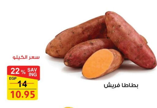 available at فتح الله in Egypt - القاهرة