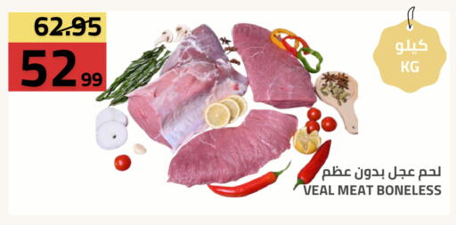 available at أسواق أسترا in مملكة العربية السعودية, السعودية, سعودية - تبوك