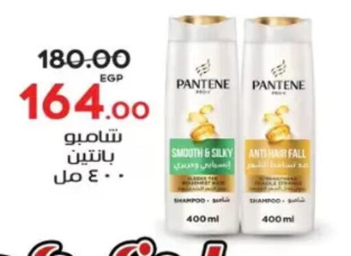available at Galhom Market in Egypt - Cairo
