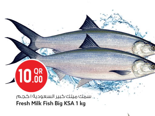 available at سفاري هايبر ماركت in قطر - الوكرة
