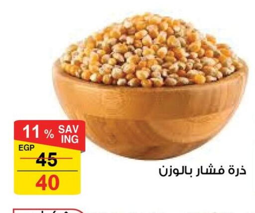 available at فتح الله in Egypt - القاهرة