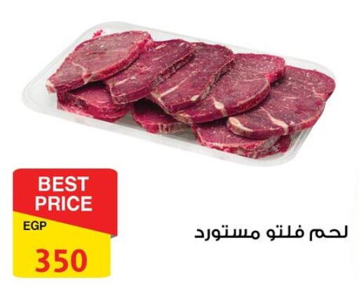 available at فتح الله in Egypt - القاهرة