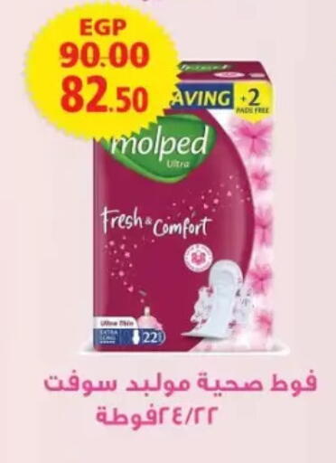 available at Galhom Market in Egypt - Cairo