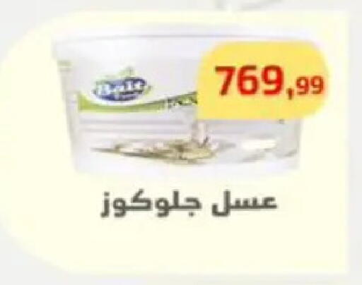 available at مؤسسة ايهاب البرنس in Egypt - القاهرة