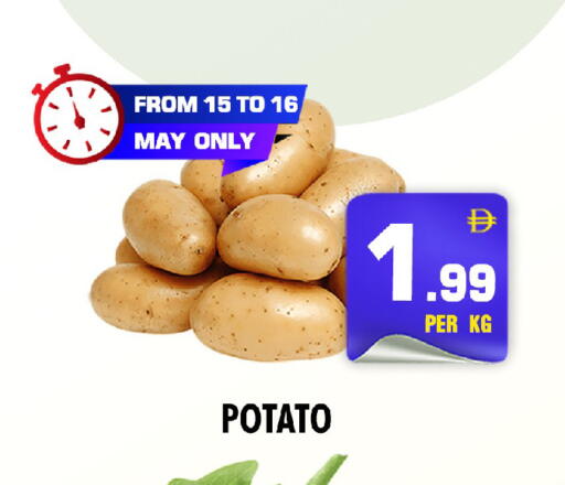 Potato available at نايت تو نايت in الإمارات العربية المتحدة , الامارات - دبي