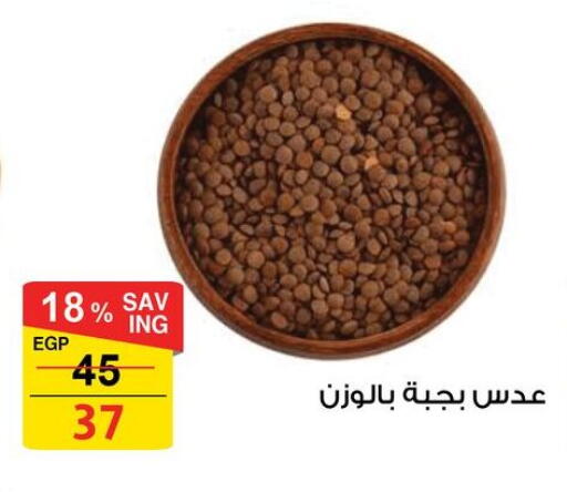 available at فتح الله in Egypt - القاهرة