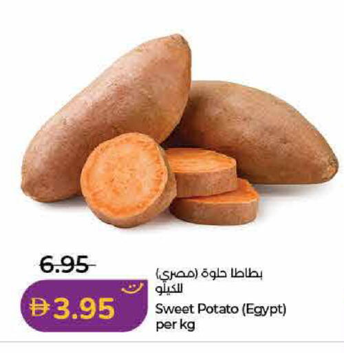 Sweet Potato from Egypt available at Lulu Hypermarket in UAE - Sharjah / Ajman