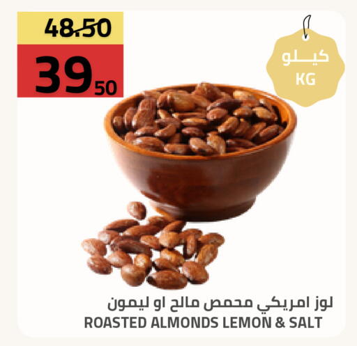 Lemon available at أسواق أسترا in مملكة العربية السعودية, السعودية, سعودية - تبوك