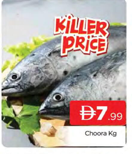 available at AL MADINA (Dubai) in UAE - Dubai