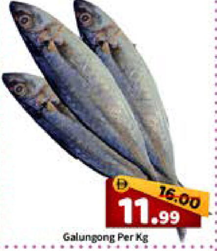 available at رويال جلف هايبرماركت in الإمارات العربية المتحدة , الامارات - أبو ظبي