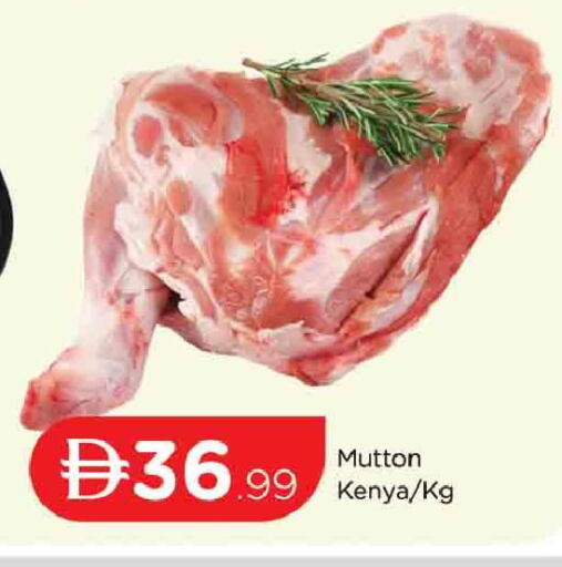 available at AL MADINA (Dubai) in UAE - Dubai