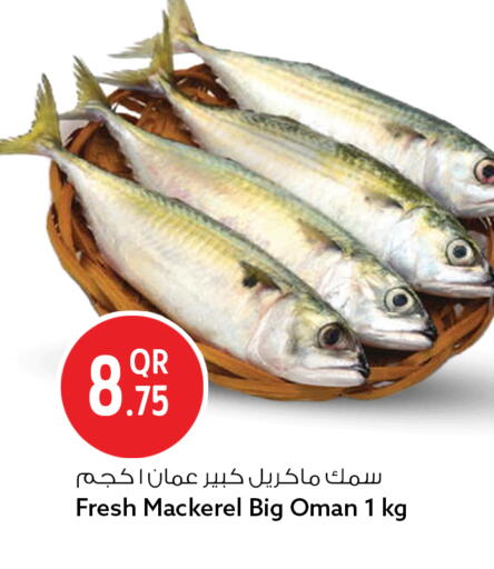 available at سفاري هايبر ماركت in قطر - الوكرة