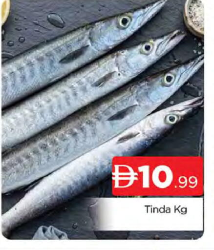 available at AL MADINA (Dubai) in UAE - Dubai