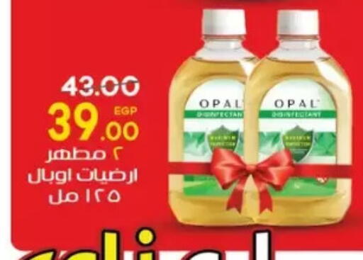 available at Galhom Market in Egypt - Cairo