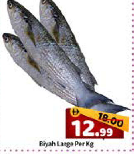 available at رويال جلف هايبرماركت in الإمارات العربية المتحدة , الامارات - أبو ظبي